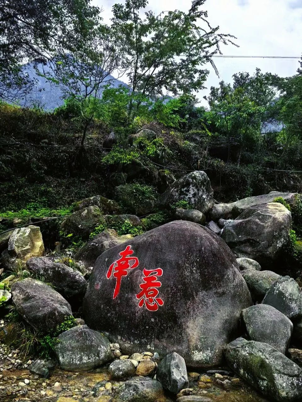 DƬ